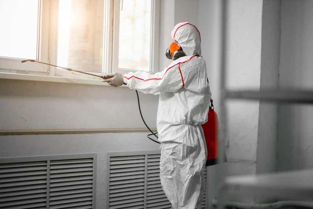 Professional mold remediation services in Colchester, CT